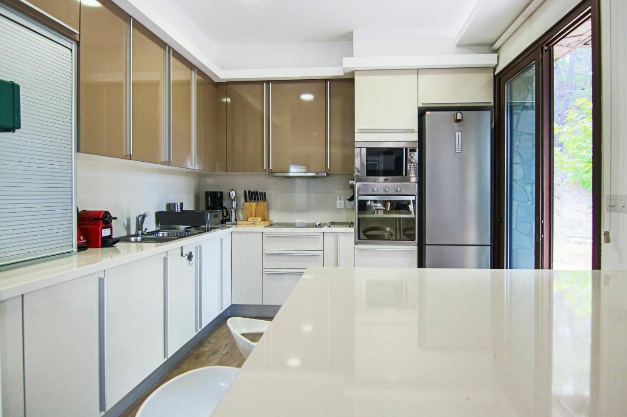 Phaedrus Living: Forest View Luxury Villa Chantara Foini Exterior foto